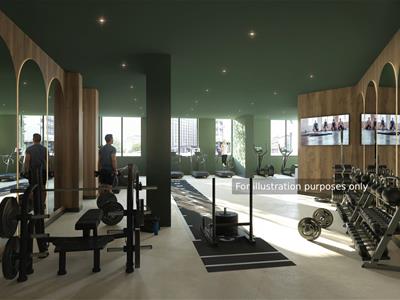 Picture 11